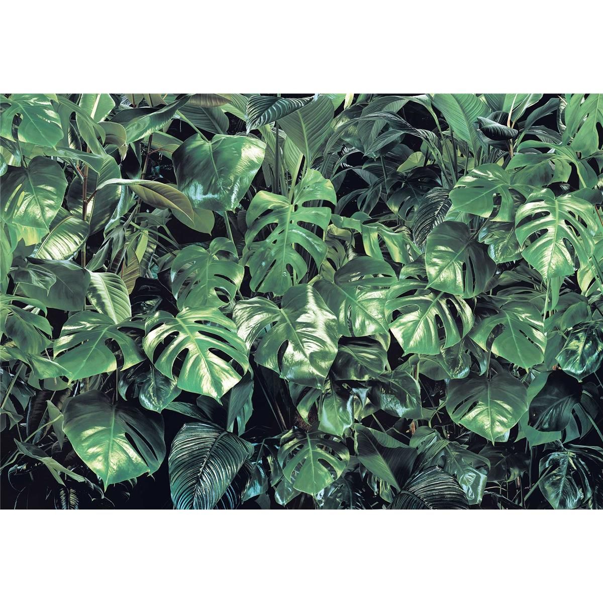 Papier Fototapete - Verdure - Größe 368 x 254 cm