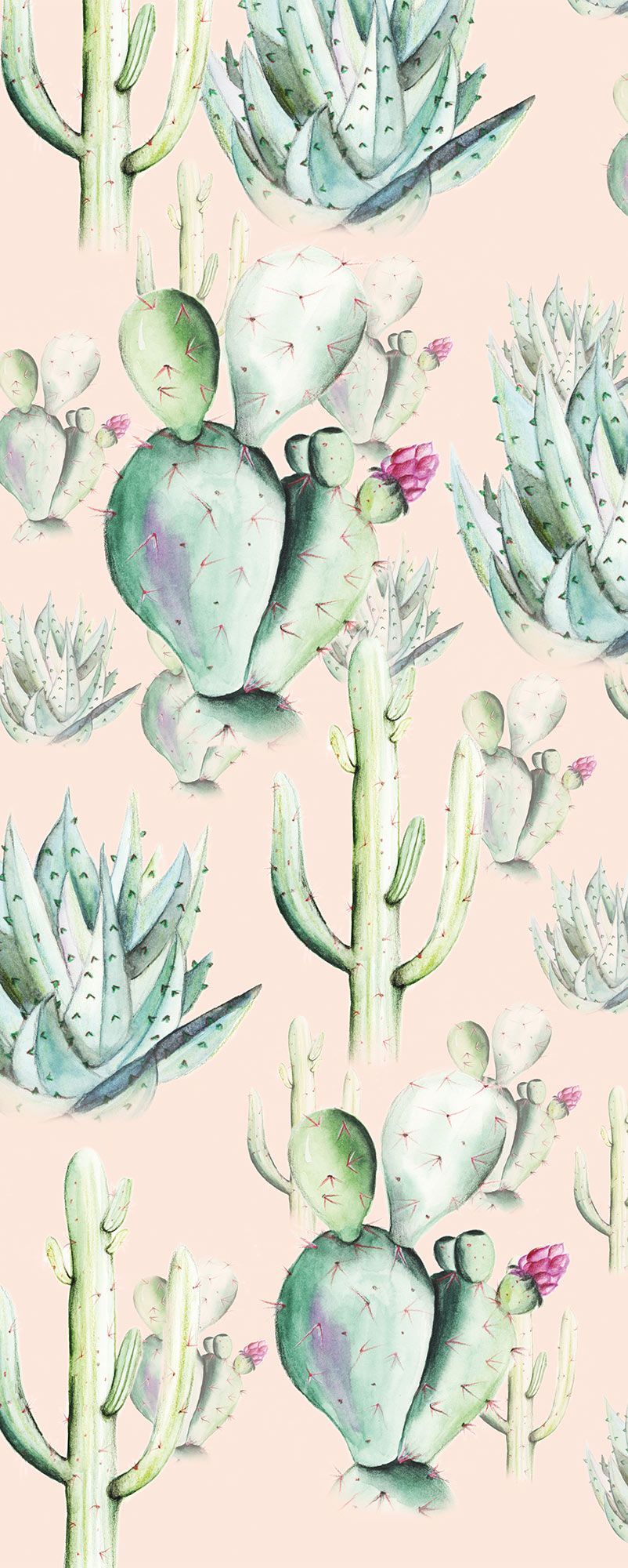 Vlies Fototapete - Cactus Rose Panel - Größe 100 x 250 cm