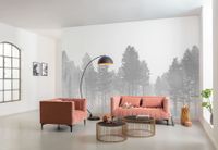 Vlies Fototapete - Silver Haze - Größe 400 x 280 cm