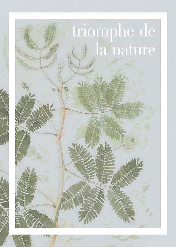 Komar Wandbild - Triomphe de la nature  - Größe: 50 x 70 cm