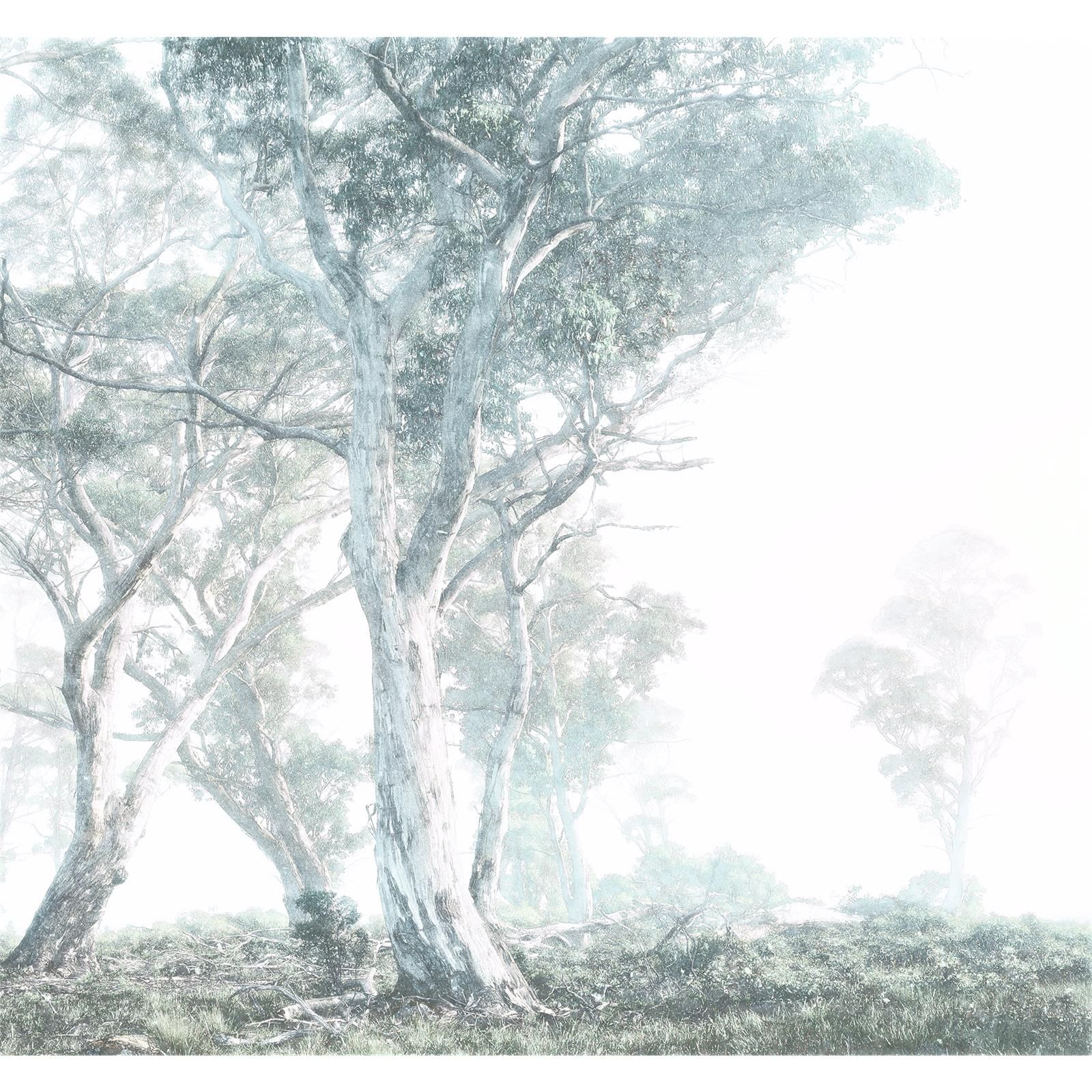 Vlies Fototapete - Magic Trees - Größe 300 x 280 cm
