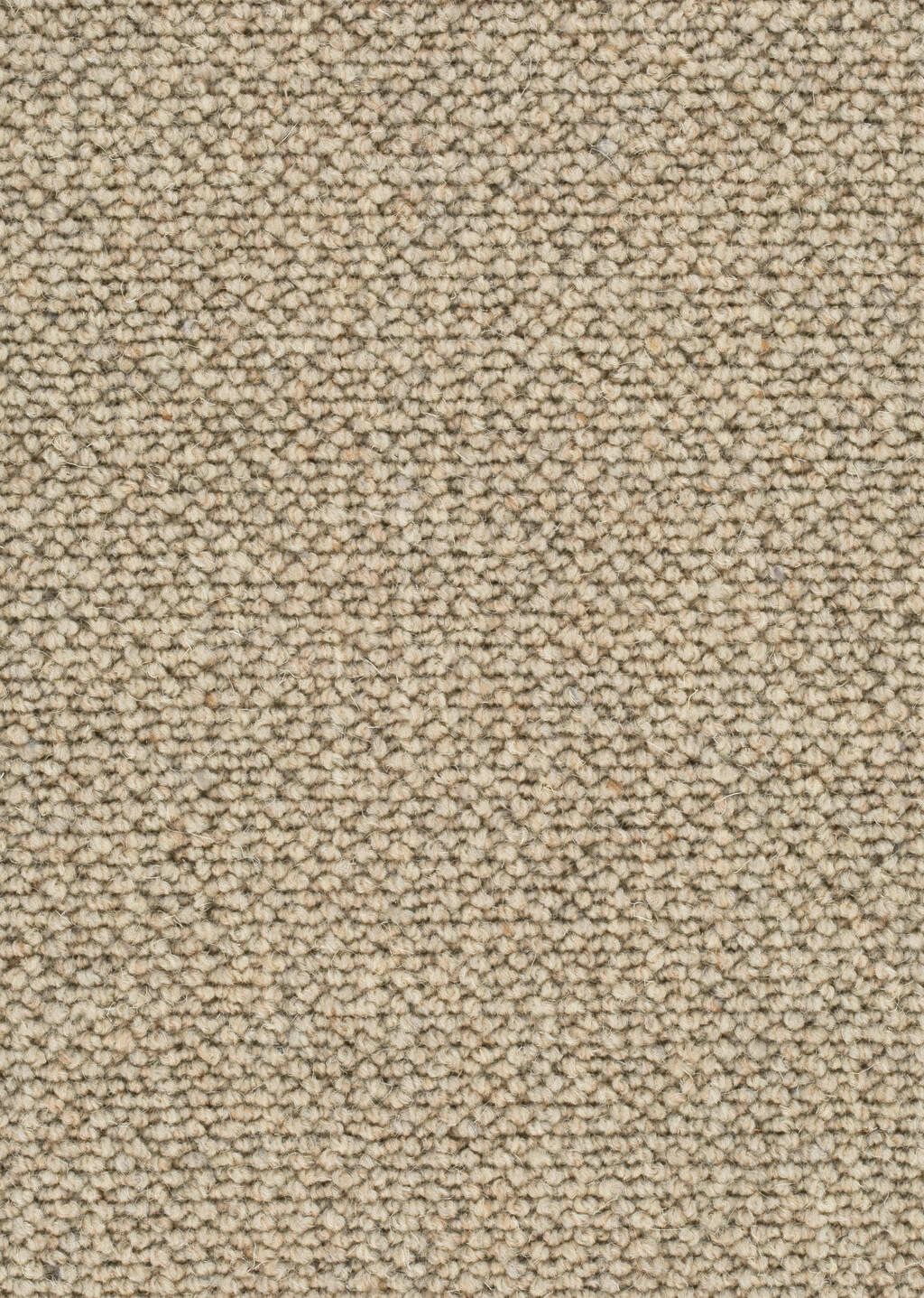 Teppichboden Schurwolle Amir Farbe 316 Rollenbreite: 500 cm