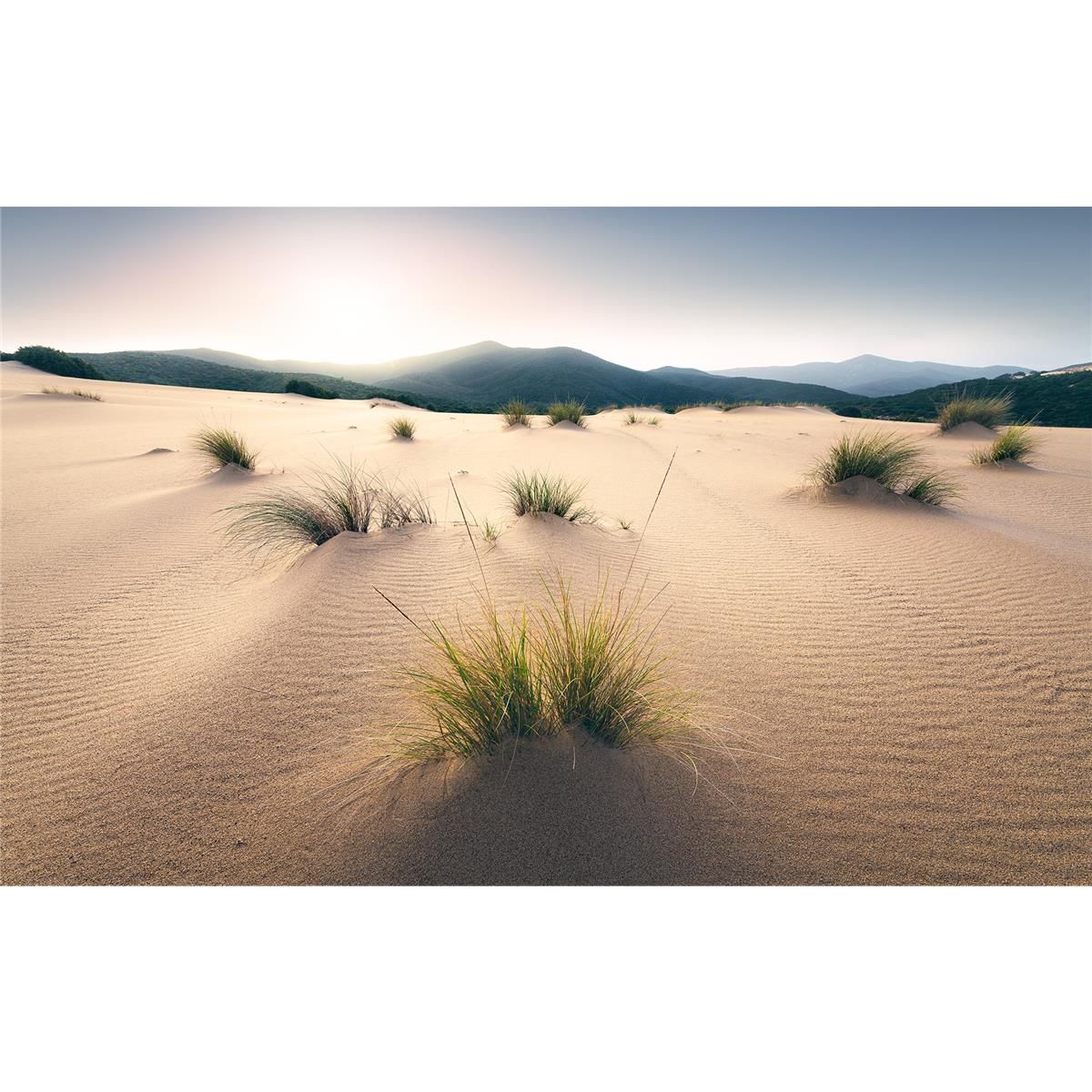 Vlies Fototapete - Vivid Dunes - Größe 450 x 280 cm