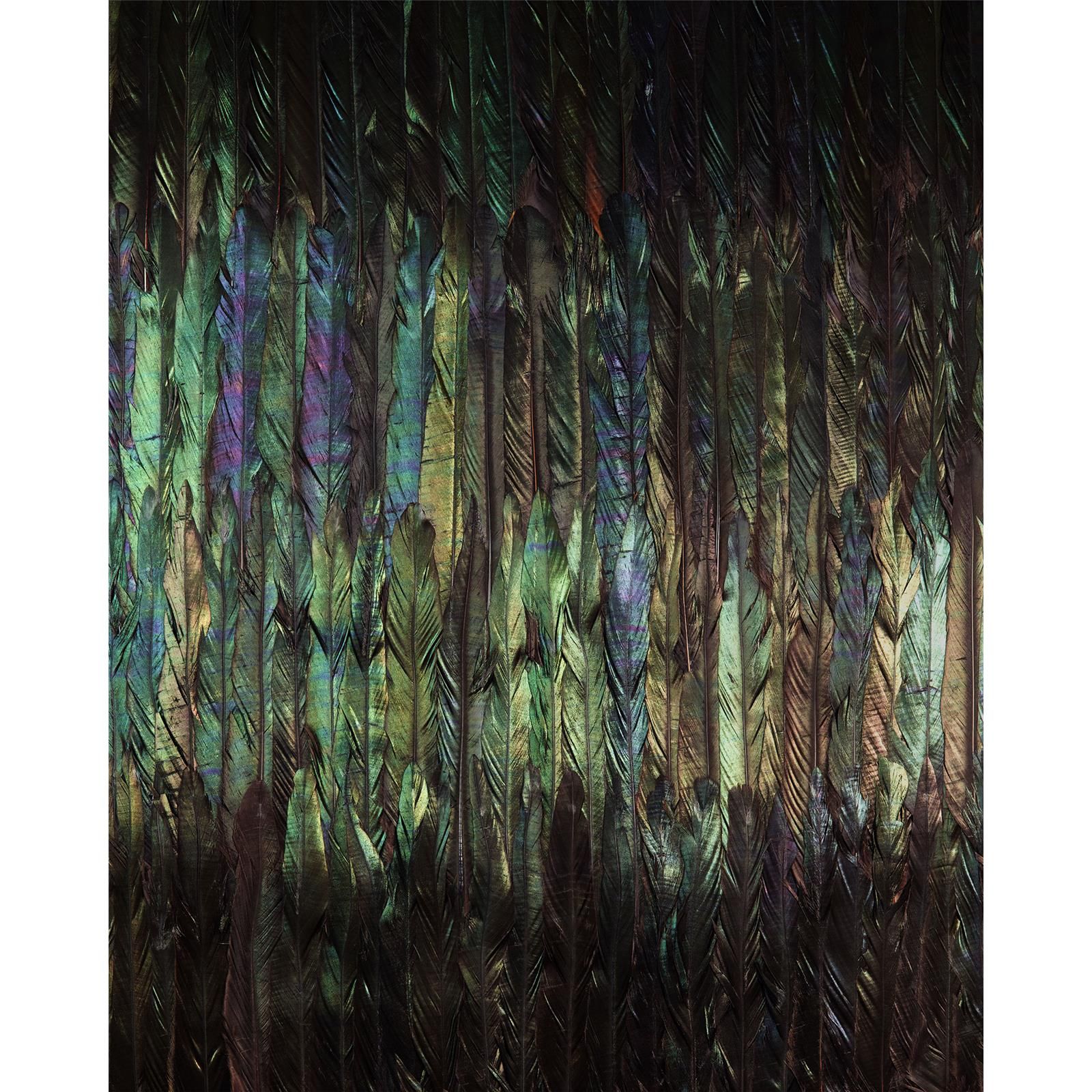 Vlies Fototapete - Dark Wings  - Größe 200 x 250 cm