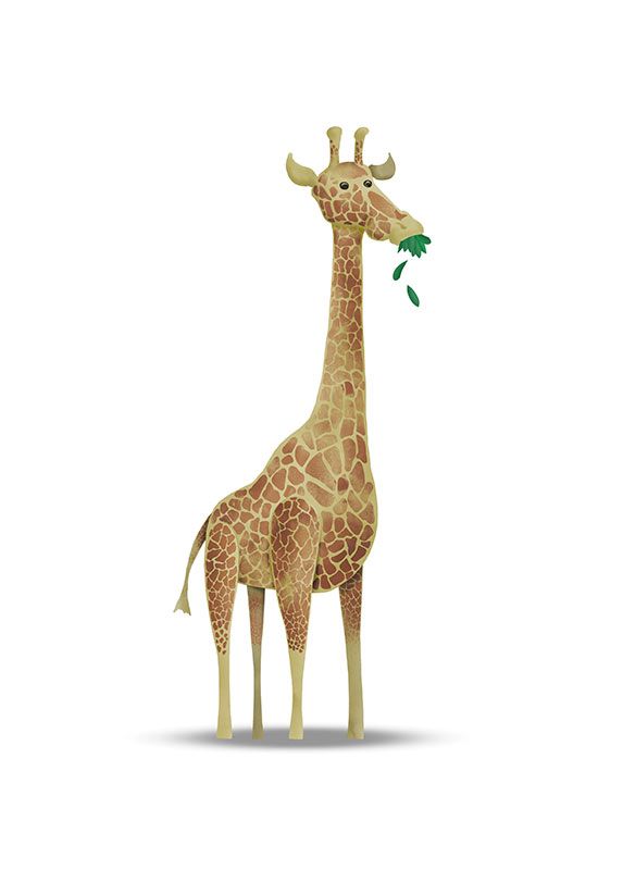 Wandbild - Cute Animal Giraffe - Größe 30 x 40 cm