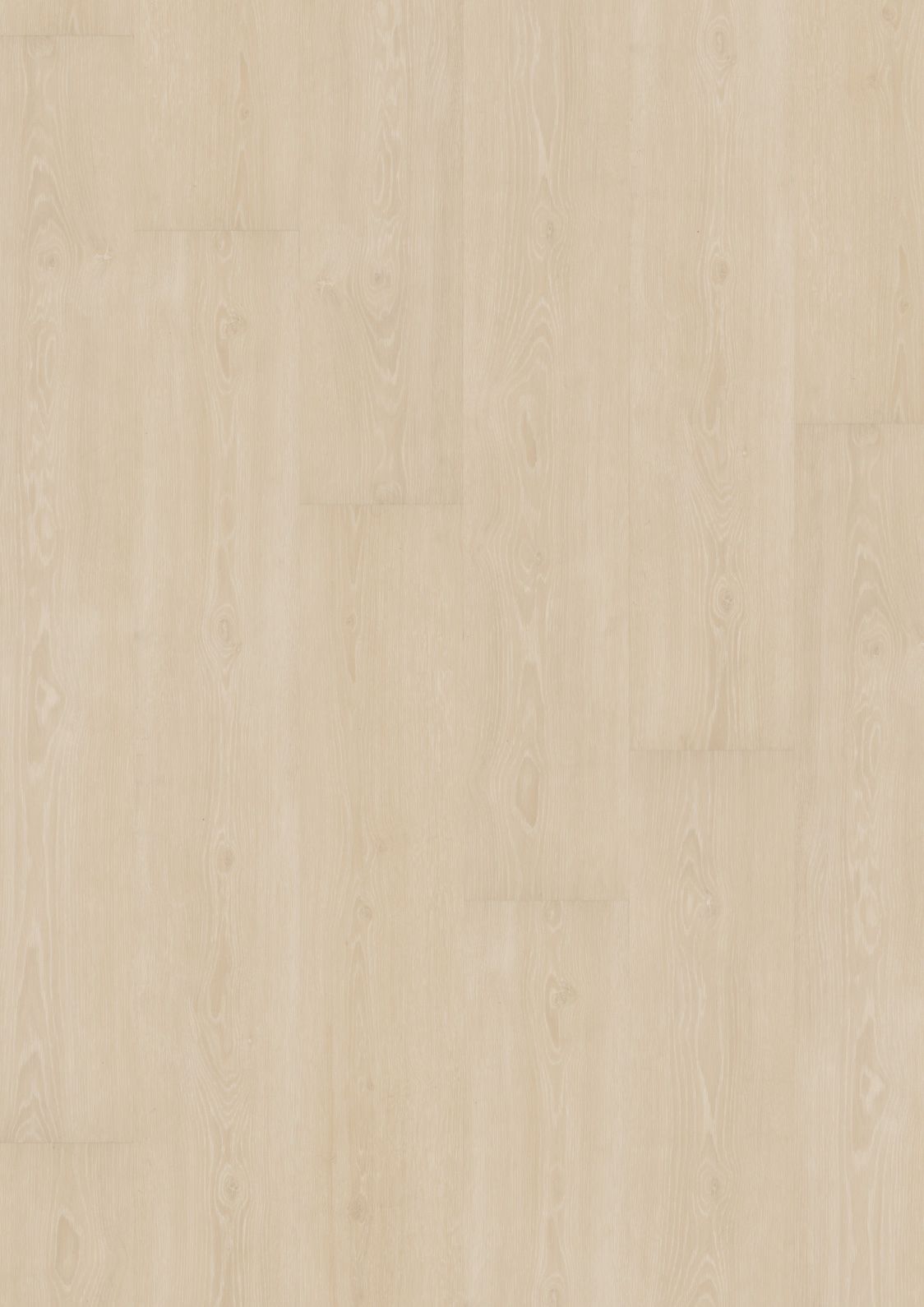 DESIGN 555 2,5mm/NS 0,55mm Dryback