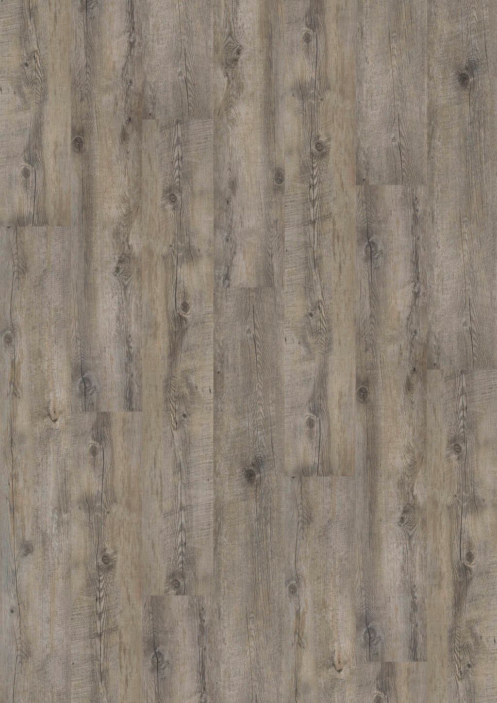 TB01-DESIGN-230-Dryback