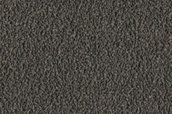 Teppichboden DAS TEPPICHWERK ALBA