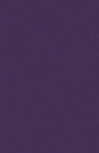 Teppichboden Vorwerk Passion 1000 MODENA Velours Lila 3S55 - Rollenbreite 500 cm