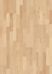 A1801 Ahorn canad. Nature VM
