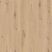 AUTHENTICS-Delicate Oak-Almond