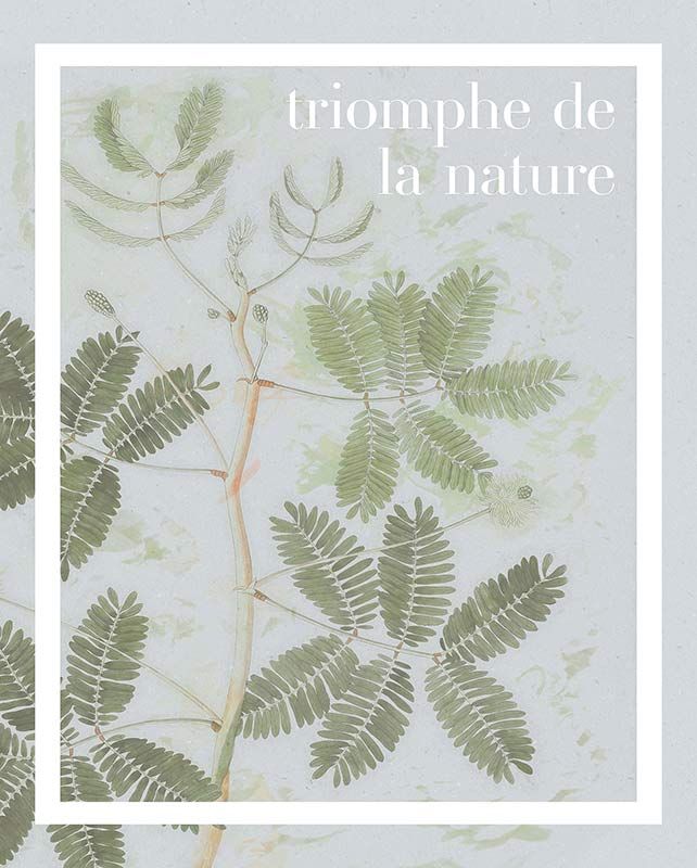 Komar Wandbild - Triomphe de la nature  - Größe: 40 x 50 cm