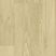 Alternate oak BEIGE