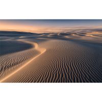 Vlies Fototapete - Glowing Lines  - Größe 450 x 280 cm
