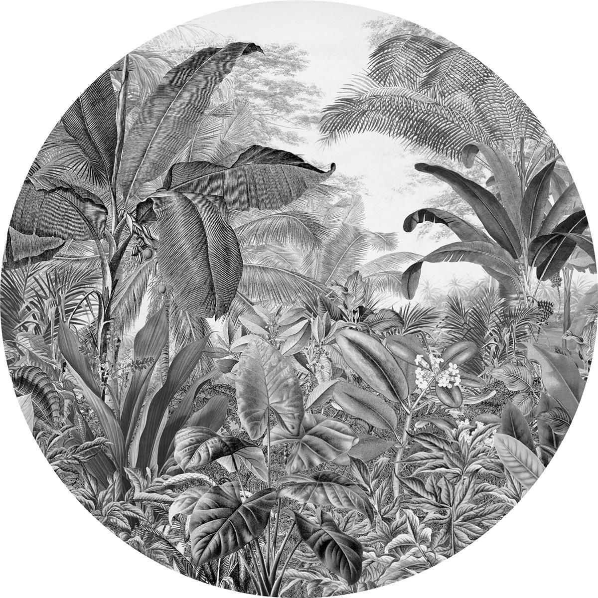 Selbstklebende Vlies Fototapete/Wandtattoo - Wild Woods - Größe 125 x 125 cm