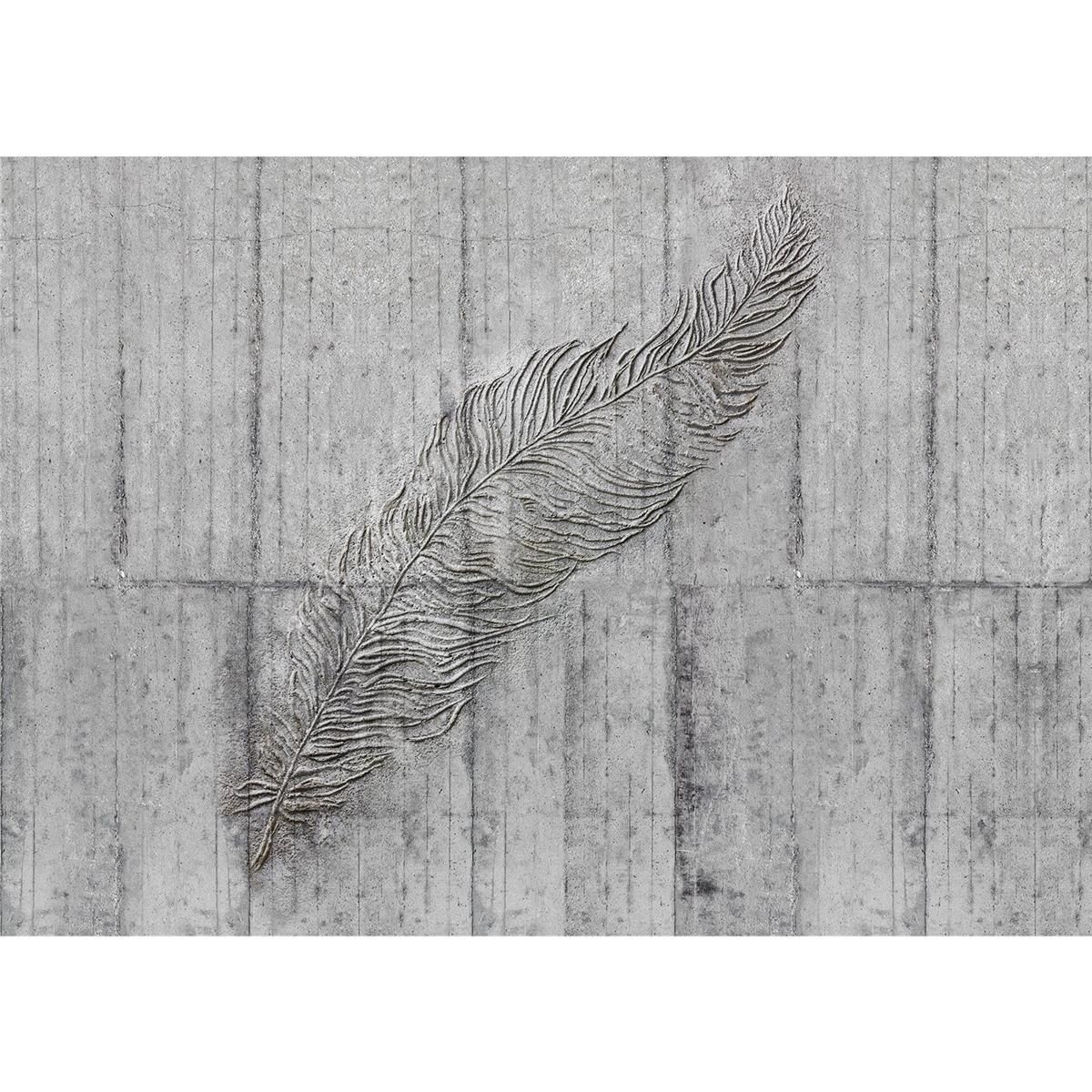 Vlies Fototapete - Concrete Feather  - Größe 350 x 250 cm