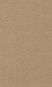 Beige 8H94