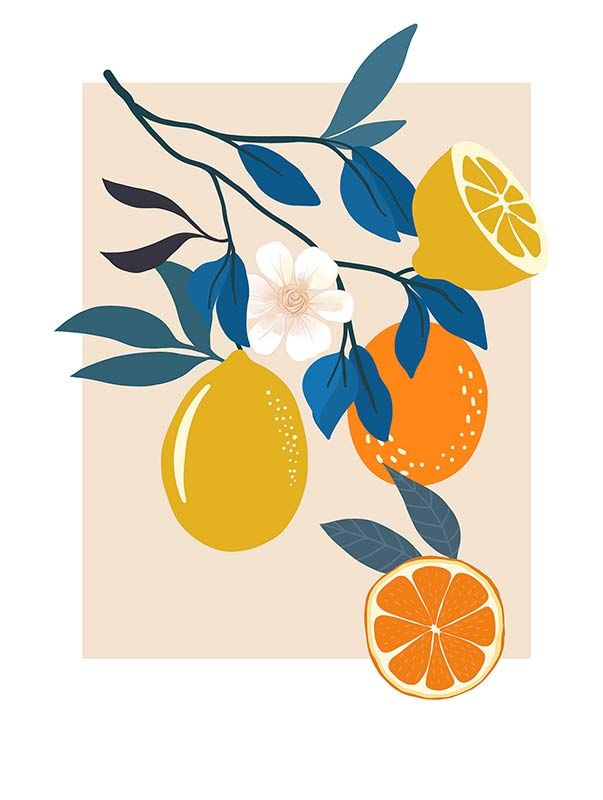 Komar Wandbild - Illustration Finest Fruits  - Größe: 30 x 40 cm