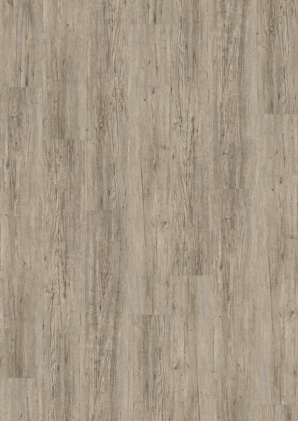 Designboden Fliese 230 mm x 1235 mm DESIGN 230 HDF Click 4234 Grey Pine - Nutzschichtdicke 0,3 mm