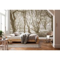 Vlies Fototapete - Bleached Birch - Größe 400 x 250 cm