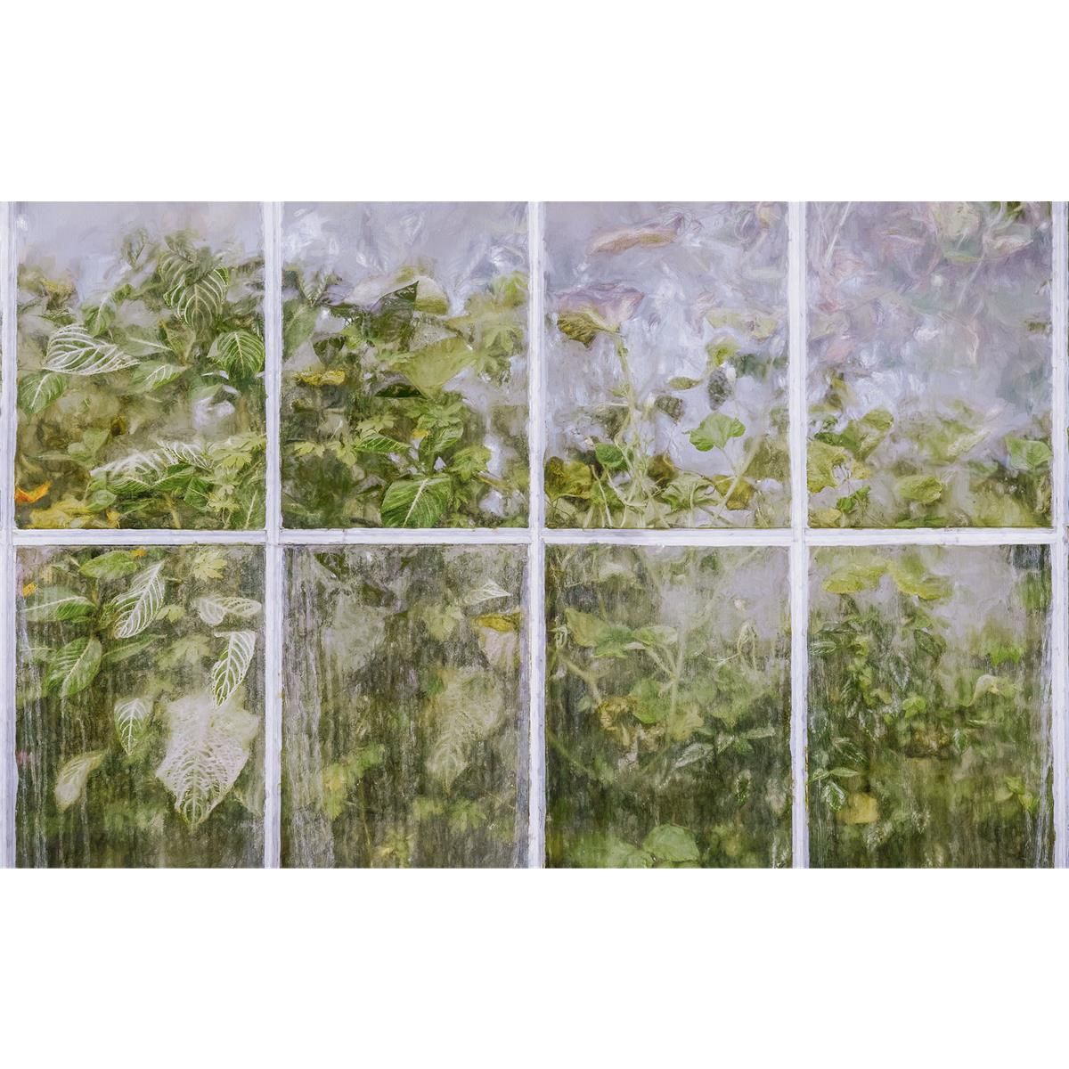Vlies Fototapete - Secret Stash - Größe 400 x 250 cm
