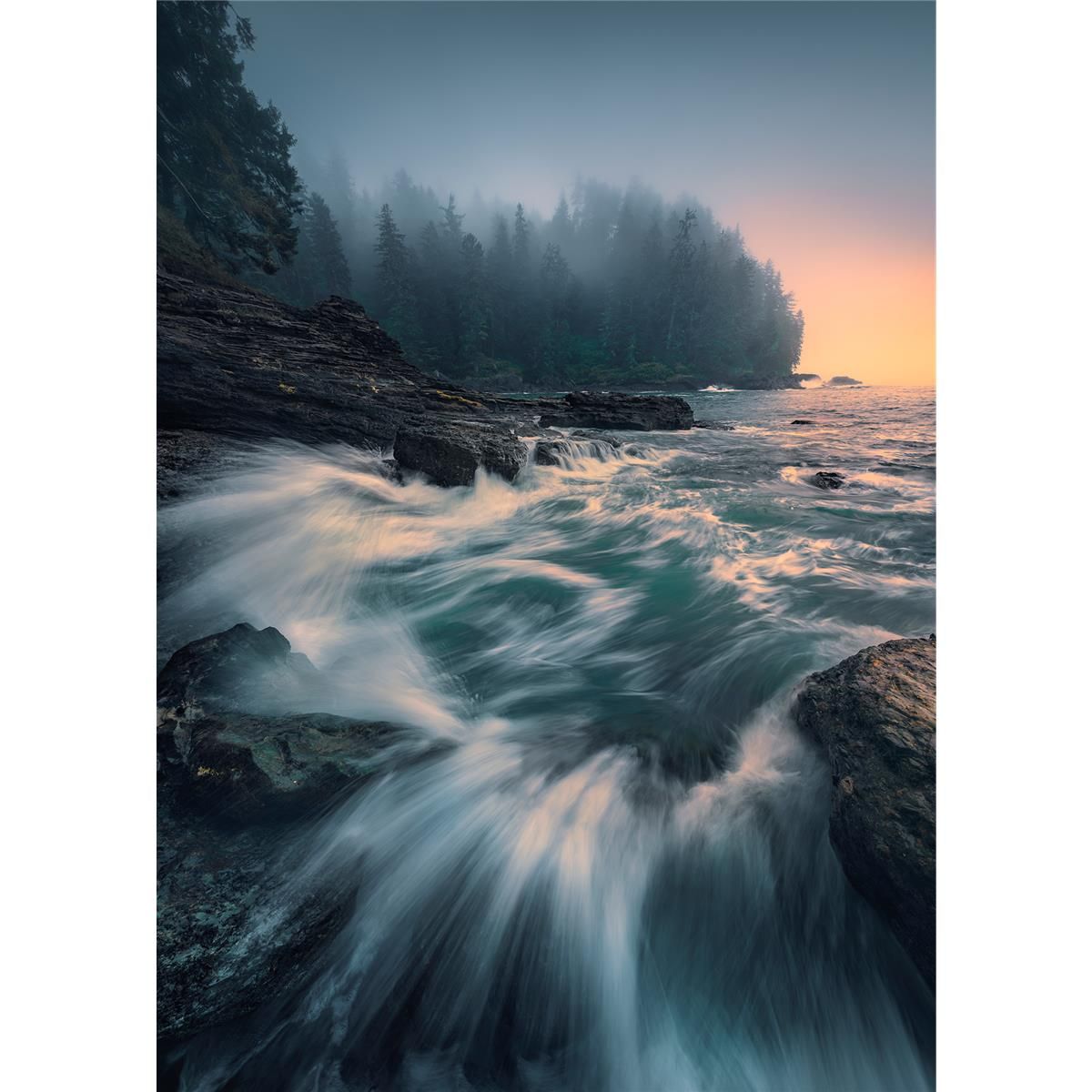 Vlies Fototapete - Cry of the Sea - Größe 200 x 280 cm
