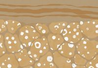 Vlies Fototapete - Subsoil - Größe 400 x 280 cm