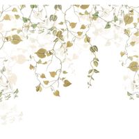 Vlies Fototapete - Hedera - Größe 300 x 280 cm