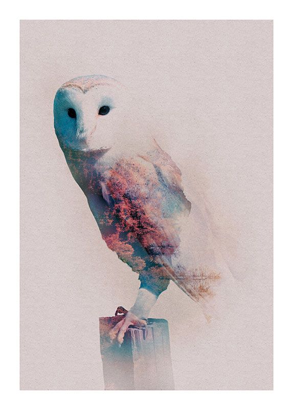 Komar Wandbild - Animals Forest Owl - Größe: 50 x 70 cm