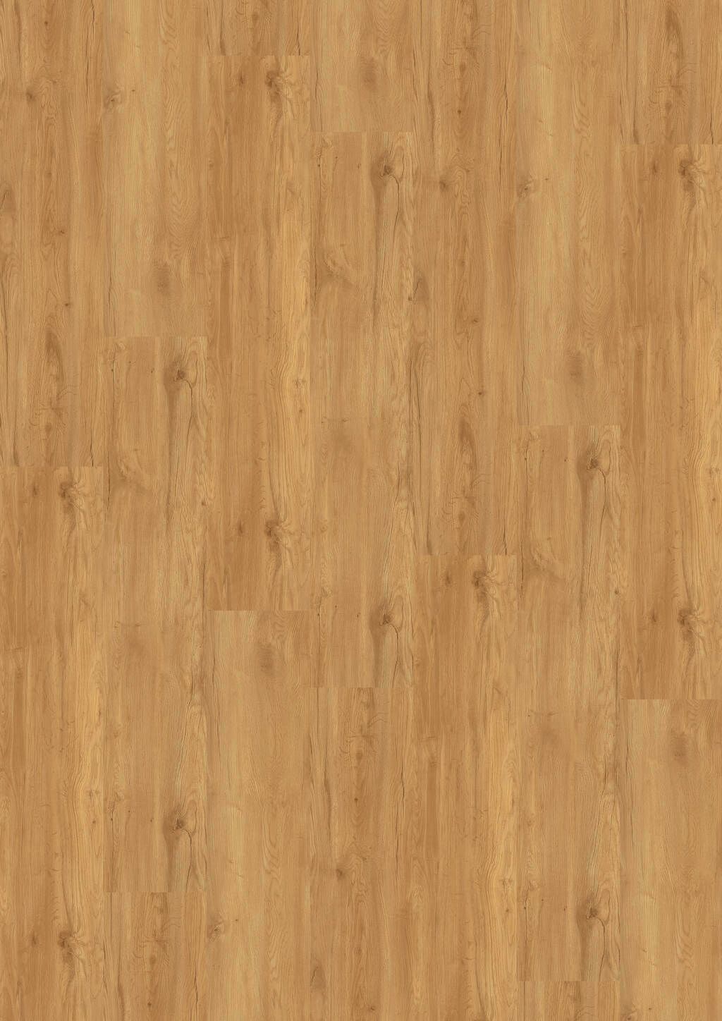TB01-DESIGN-230-Dryback