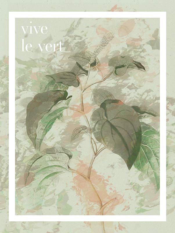 Komar Wandbild - Vive le vert  - Größe: 30 x 40 cm