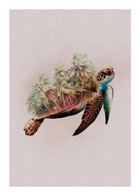 Komar Wandbild - Animals Paradise Turtle - Größe: 50 x 70 cm