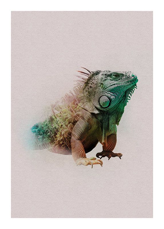 Komar Wandbild - Animals Paradise Iguana - Größe: 50 x 70 cm