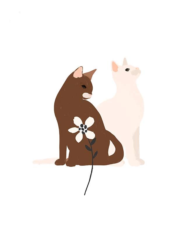 Komar Wandbild - Loving Cats  - Größe: 40 x 50 cm