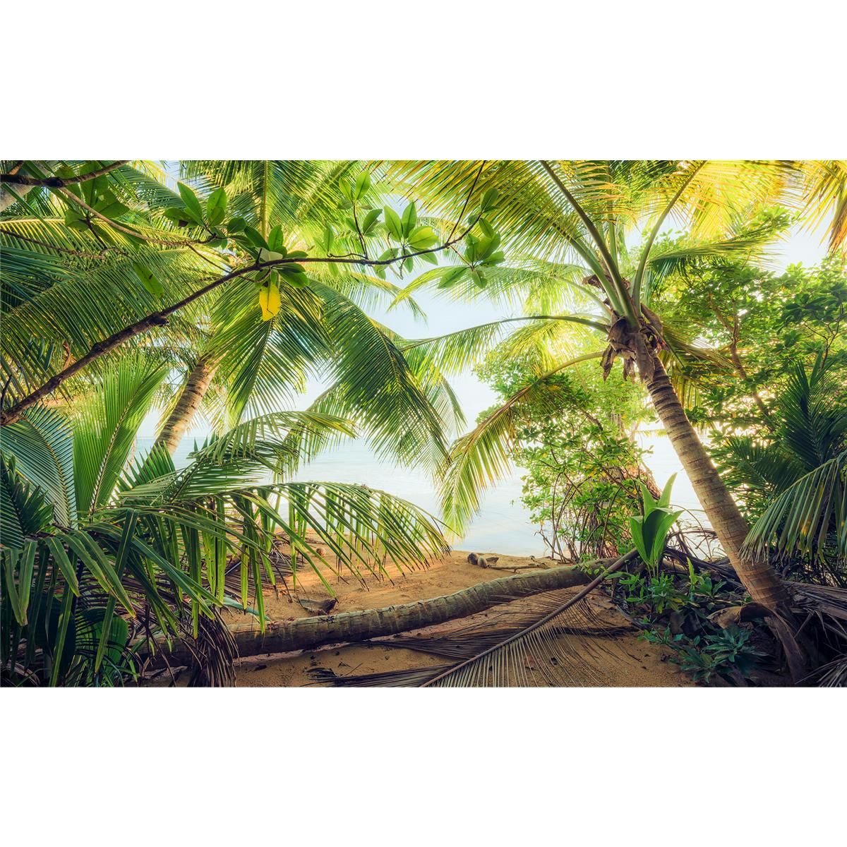 Vlies Fototapete - Piratenversteck - Größe 450 x 280 cm
