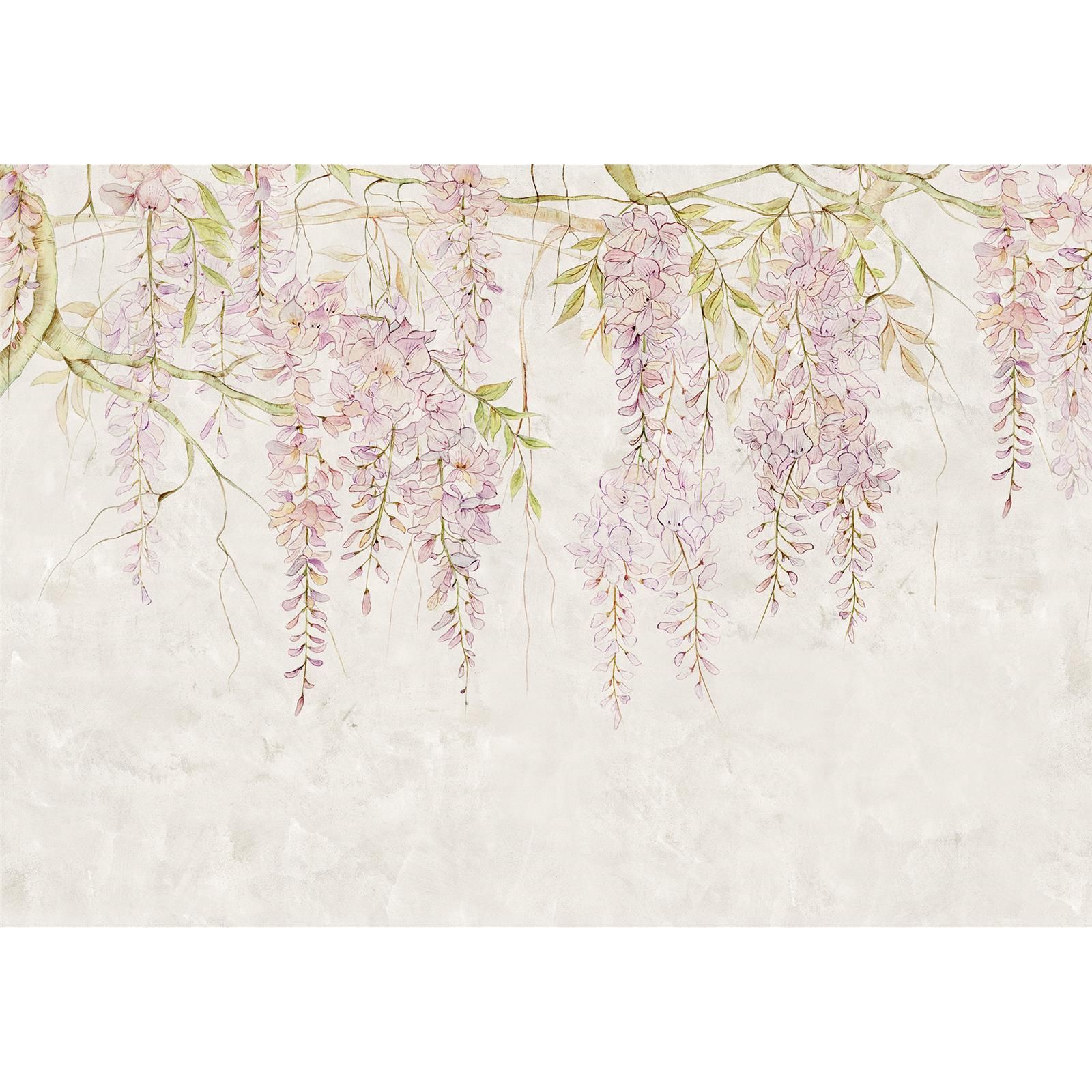 Vlies Fototapete - Wisteria - Größe 400 x 280 cm