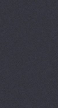Teppichboden DAS TEPPICHWERK Exclusive 1009 ELARA Shag Frisé