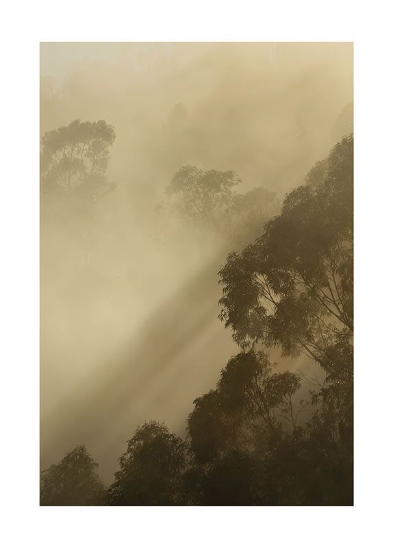 Wandbild - Golden Light - Größe 40 x 50 cm