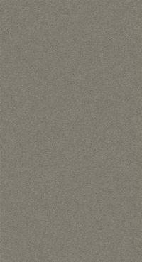 Teppichboden Vorwerk Exclusive 1009 ELARA Shag Frisé