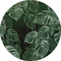 Selbstklebende Vlies Fototapete/Wandtattoo - Novel Monstera - Größe 125 x 125 cm