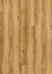 5903 Amber Oak