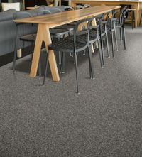 Teppichboden Vorwerk Projection STRADA Schlinge Schwarz 9H42 - Rollenbreite 400 cm