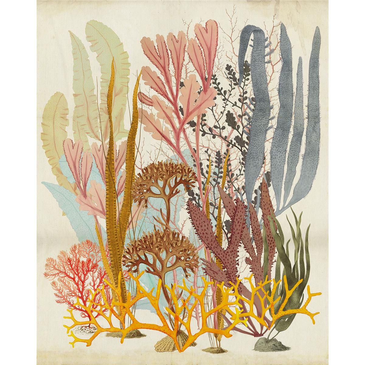 Vlies Fototapete - Catchy Corals - Größe 200 x 250 cm