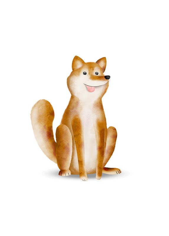 Komar Wandbild - Cute Animal Dog - Größe: 50 x 70 cm