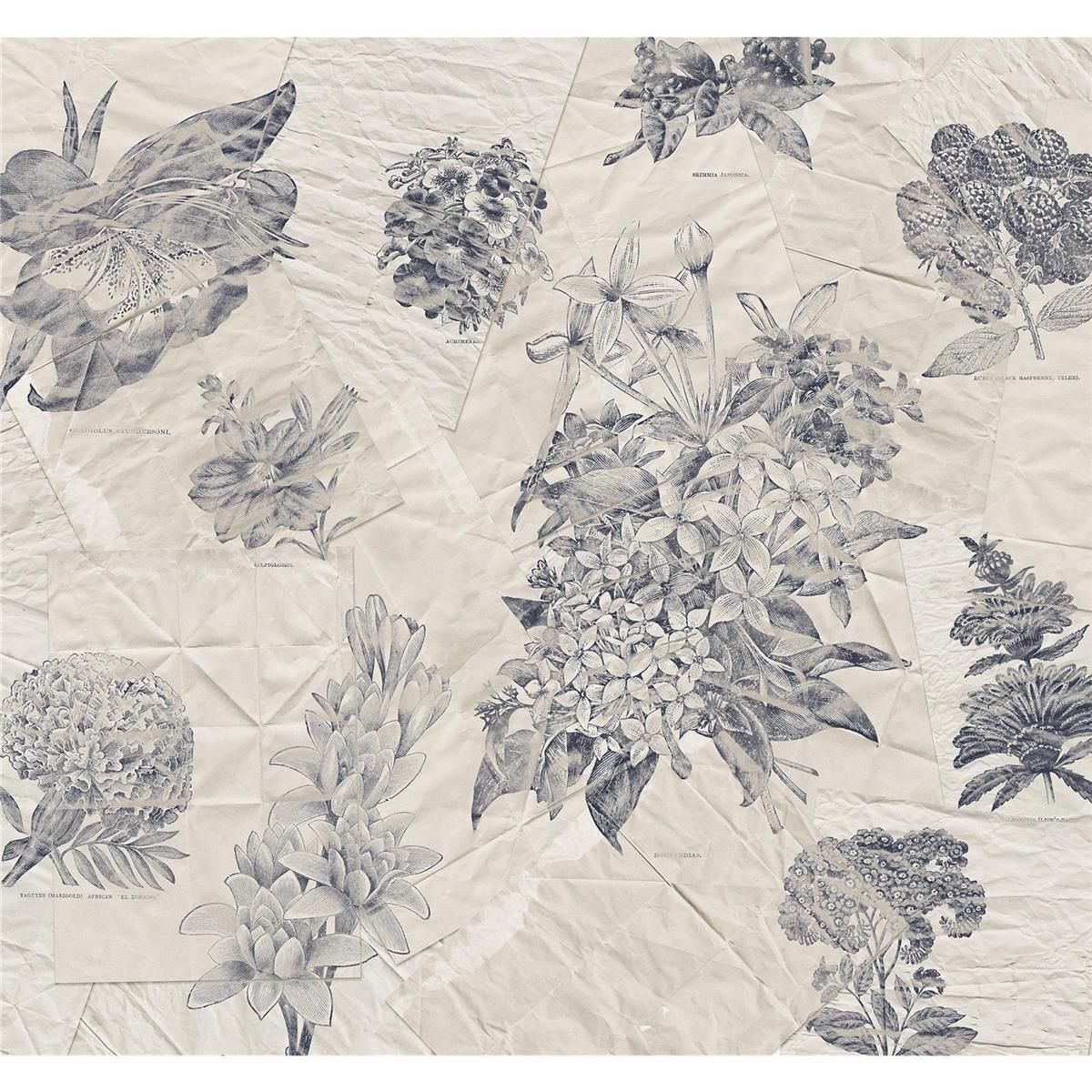 Vlies Fototapete - Botanical Papers - Größe 400 x 280 cm