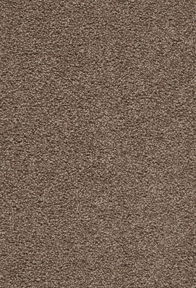 Teppichboden ZIRKONIA 500 cm Farbe 420