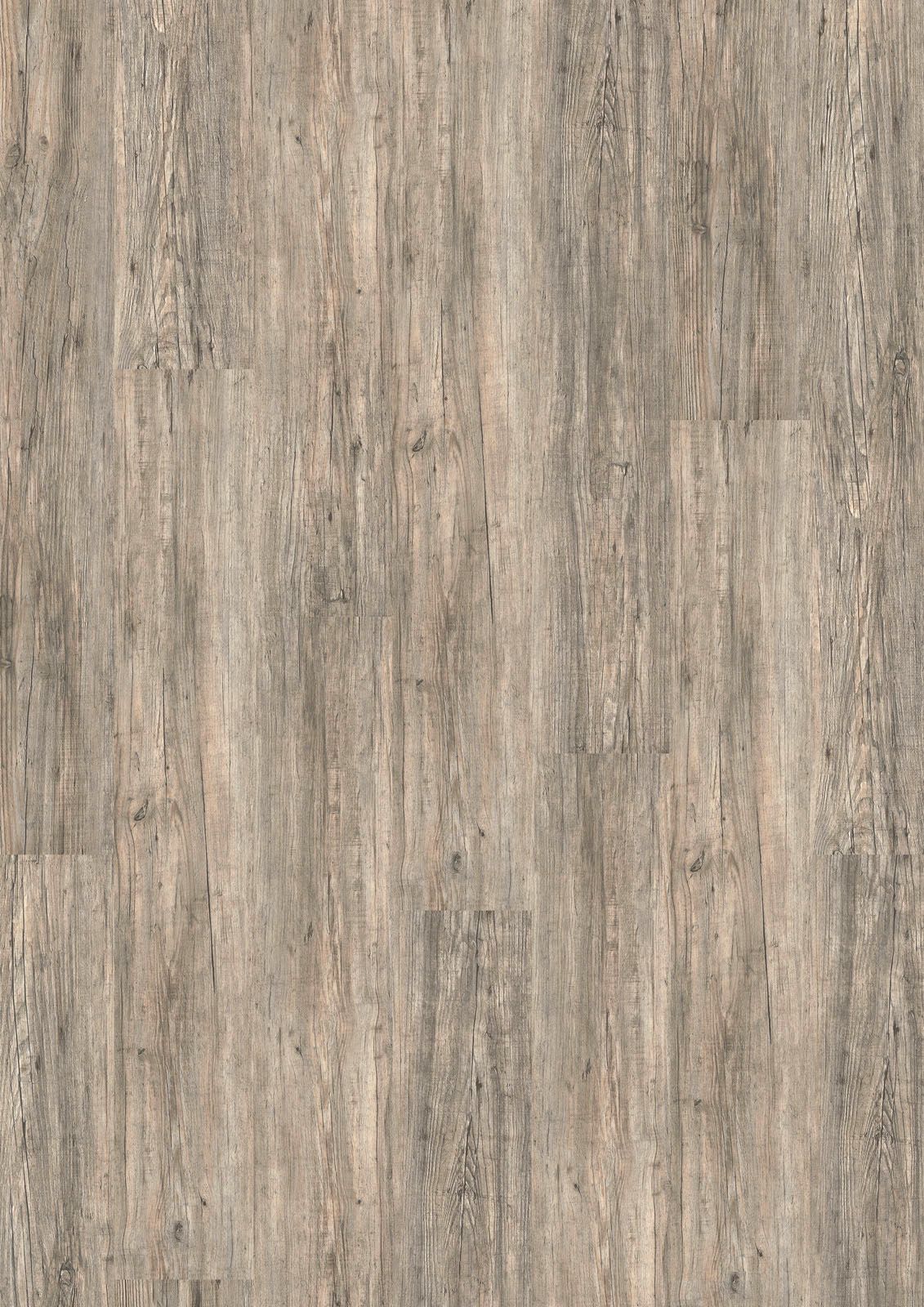 DESIGN 555 2,5mm/NS 0,55mm Dryback