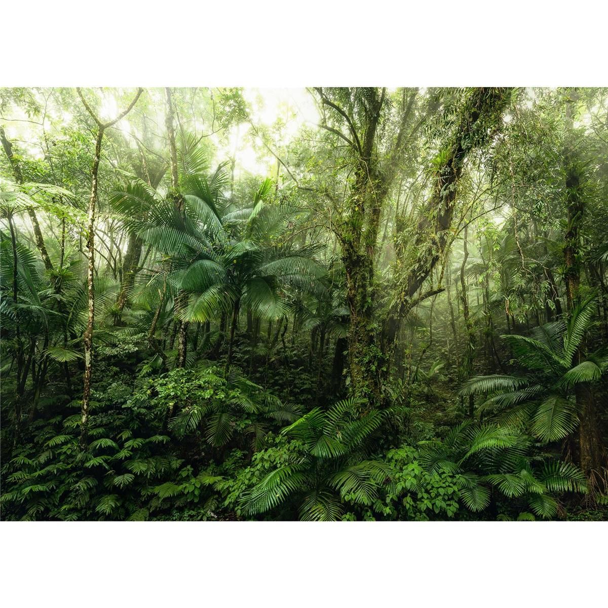 Vlies Fototapete - Mindfulness  - Größe 350 x 250 cm