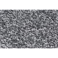Sauberlauf Hamat Future - Rollenbreite 200 und 135 cm