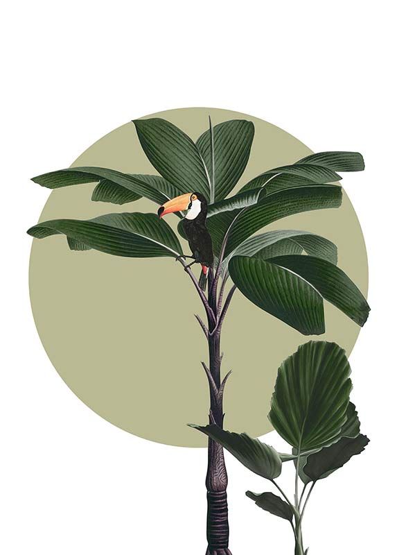 Komar Wandbild - Botanical Garden Palmtree  - Größe: 50 x 70 cm